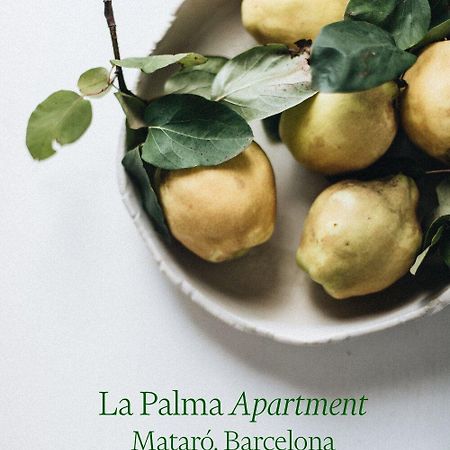 Apartamento Atico En El Casco Antiguo Матаро Экстерьер фото